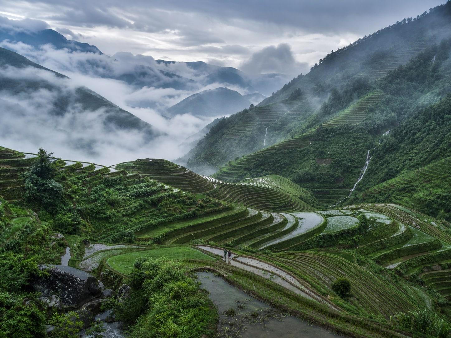 Rainy Season Terrace Cloud Sea Nature Prompt