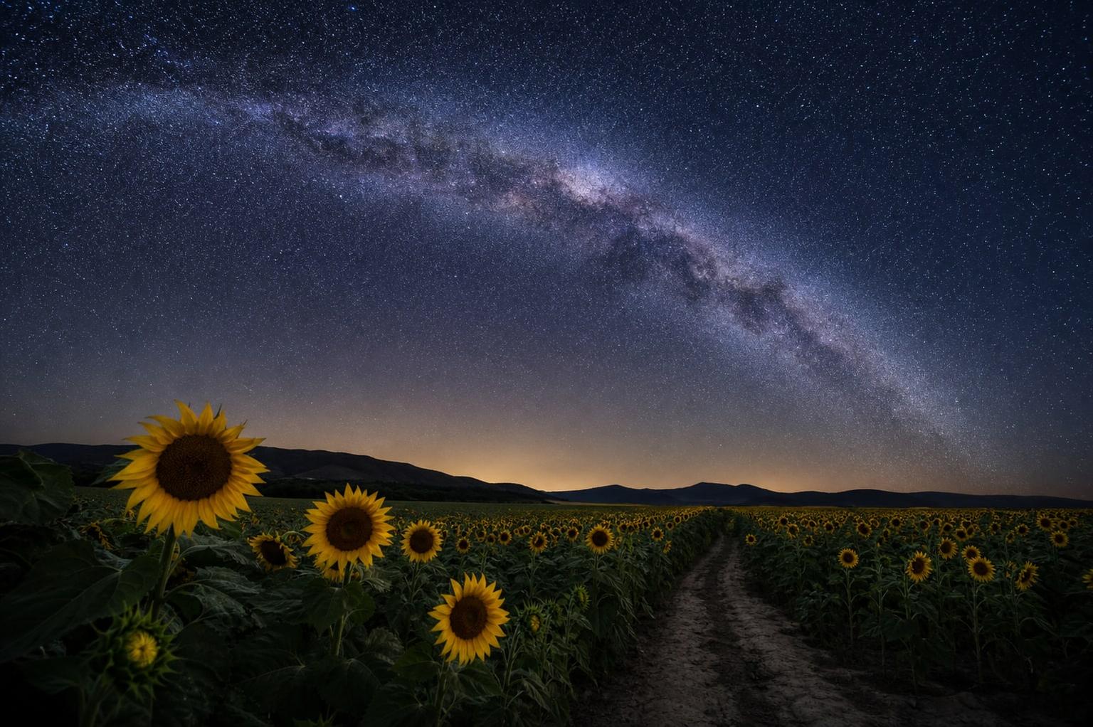 Summer Milky Way Sunflower Field Nature Photo Prompt
