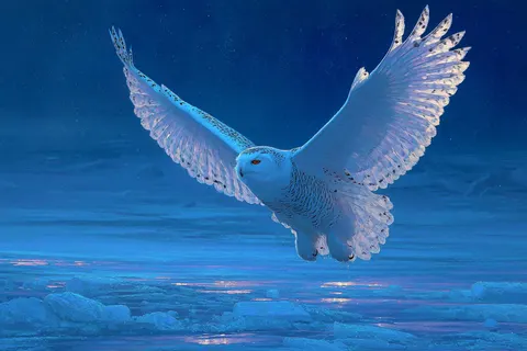 Aurora snow owl in flight prompt