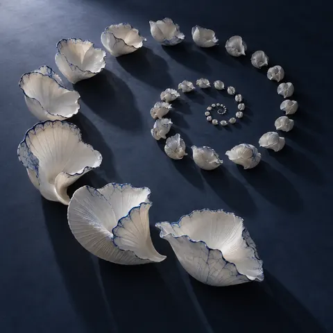 Porcelain Shell Tidal Spiral Installation Prompt