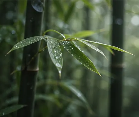 Misty Bamboo Macro Prompt