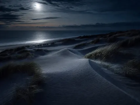 Moonlit Coastal Dune Ripple Nature Photography Prompt