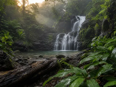 Tropical Rainforest Waterfall Mist Nature Photography Prompt