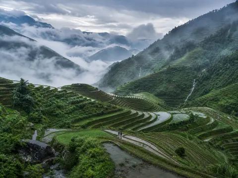 Rainy Season Terrace Cloud Sea Nature Prompt