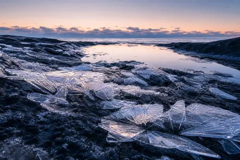 Intertidal Ice Flowers at Dawn Nature Photography Prompt