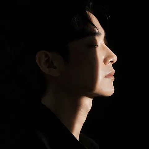 Black Background Profile Portrait Prompt